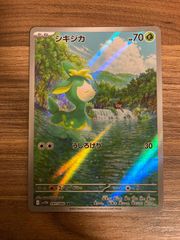 シキジカ　AR
