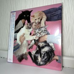 Amazon.co.jp: 見本盤猫二枚目LP～田口清南こうせつ岡本おさみ