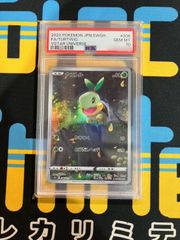 ナエトル 206/172 AR PSA10
