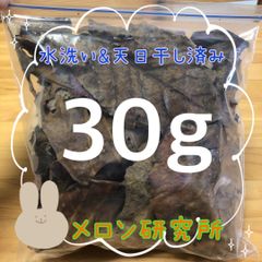 【送料無料】匿名発送★無農薬★沖縄県産 マジックリーフ 30g