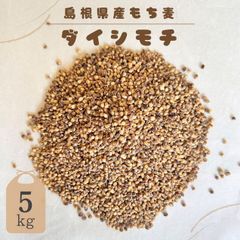 【令和6年産】島根県産もち麦 ダイシモチ 5kg