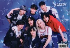 stray kids ストレイキッズ グッズ クリアファイル A4サイズ K-POP