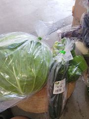 落札初めての方用　野菜セット