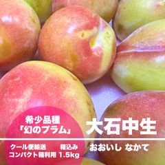 【クール便コンパクト】幻のプラム 山形県産 大石中生 箱込み 1.5kg