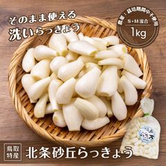 【農薬：栽培期不使用】砂丘らっきょう 1kg 洗いらっきょう 鳥取 らっきょ ラッキョウ らっきょ