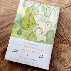 単行本「ひょうたんから空」