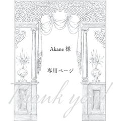 【 Akane 様専用ページ】4点　おまとめ
