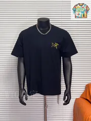【今日WTO】Arcteryx / アークテリックス 幻彩グラデーション LOGO 半袖 T-VU08