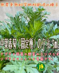 中葉春菊（固定種）のタネ 5ml　無農薬無化学肥料栽培のタネ　コンパニオンプランツとしても有益！