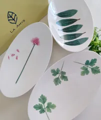 【未使用】LA AMYS ラ・エミーズ　リムプレート　3枚　パスタ　ハーブ エミーズ 皿 ラ」の人気商品一覧 | 安い商品を通販サイトから