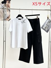 Arc'teryx アークテリクス 　コットン　半袖　Tシャツ　レディース　メンズ　男女兼用　ホワイト　XS