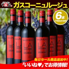 ハリウッドスター御用達ワイナリーが造るデイリーワインの決定版！ドメーヌ・アラン・ブリュモン ガスコーニュ ルージュ 6本セット　送料無料　フランス　赤　ミディアムボディ　タナ　メルロー　お祝い　ギフト