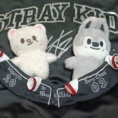 straykids skzoo 10cm ぬいぐるみ服 エコパ ユニフォーム