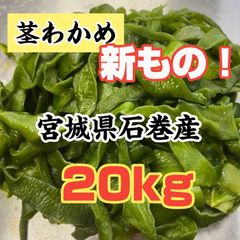 塩蔵茎わかめ　宮城県石巻産
