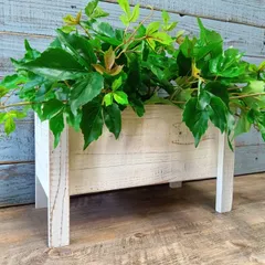 ガーデニング雑貨 ウッドプランター 木箱 ウッドボックス 植木鉢 鉢 鉢カバー プランター ガーデン雑貨 ガーデニング 雑貨 アンティーク ナチュラル おしゃれ かわいい WOOD プランターボックス TB-52-80