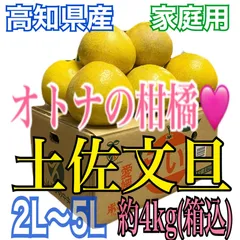 『家庭用』オトナの味！高知県産 土佐文旦『爽やかな甘みと程良い苦み』 4kg(箱込)『高知ブランド果実』