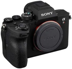 2025年最新】 α7RⅣ ILCE-7RM4の人気アイテム - メルカリ