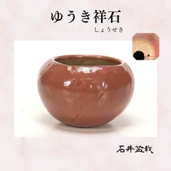 2025年最新】鉢 祥石の人気アイテム - メルカリ