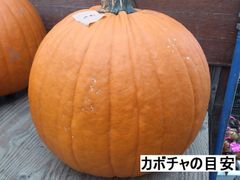 【なつみかんさん専用】ハロウィン用かぼちゃ３ｋｇ　3個