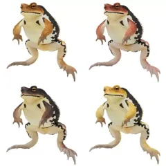 【中古】トレーディングフィギュア 全4種セット 「ネイチャーテクニカラー 大きなヒキガエル」