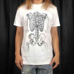 00s 人体模型 アート Tシャツ XL カートコバーン アンナトミー 690