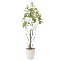 美品⭐フェイクグリーン プリマ マグノリア スリムプランター 観葉植物