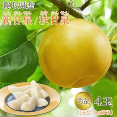 【8月下旬より順次発送】 【 秀品 鳥取県産 新甘泉 秋甘泉 4玉 】( 1玉270g 前後 ) 贈答用 送料無料 1玉 270g しんかんせん、梨 秀品 鳥取 鳥取県 梨 赤梨 20世紀梨 筑水 なし ナシ ギフト ご自宅用 果物 くだもの フルーツ ギフト