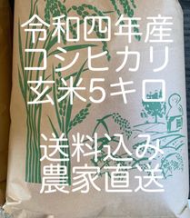 令和4年産　100%栃木県産　コシヒカリ　玄米5キロ
