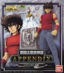 聖闘士聖衣神話 APPENDIX 私服 2体