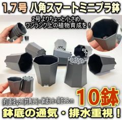 ◆平日＊日中注文即日発送-1.7号八角スマート◆高機能ミニプラ鉢(直径φ5.1cm)-10鉢セット-鉢底の通気・排水重視＊多肉植物・塊根植物コーデックス・アガベ・サボテン・盆栽・観葉・ハオルチア・アデニウム・パキポディウム・実生＠フラワーショップ江口