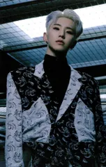 SEVENTEEN Spider HOSHI トレーディングカード 17