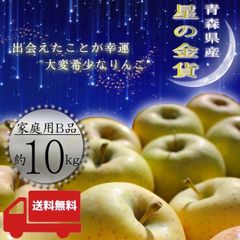 青森県産 ＂ 星の金貨 ＂ りんご【ご家庭用B品10kg】【送料無料】【産地直送】リンゴ 林檎