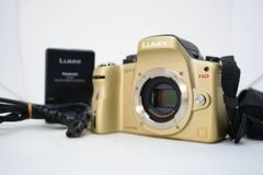 ★実用品★LUMIX ルミックス DMC-GH1