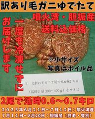 ゆでたて訳あり毛ガニ２尾で６００ｇ～７００ｇ前後活時計量　冷蔵便