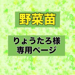りょうたろ様専用ページ‼️野菜苗‼️スナップえんどう