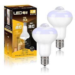 LED電球 E17口金 60W形電球色相当 全方向タイプ 610lm ミニクリプトン電球 小形電球 省エネ 断熱材施工器具対応 調光器非対応 廊下 玄関 2個入