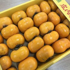 ＊初出品記念価格＊【訳あり】庄内柿　約5㎏