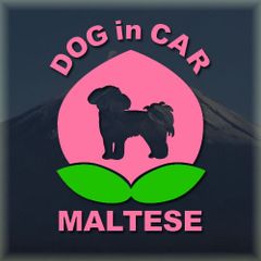 マルチーズのドッグインカーかわいい桃ちゃんのピンク色ステッカー‼︎