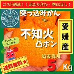 【予約販売】【おやつにムキムキ☆突っ込みかん】愛媛産　不知火デコポン　約5kg