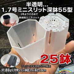 半透明スリット鉢＊プレステラ75型 2号 よりも小さな1.7号ミニスリット深鉢55型★高機能ミニプラ鉢：半透明 クリアー 25鉢セット＊多肉植物・塊根植物コーデックス・アガベ・サボテン・観葉・ハオルチア・アデニウム・パキポディウム・実生＠フラワーショップ江口