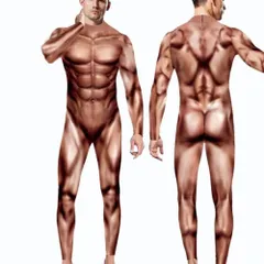 巨人 筋肉 全身 タイツ メンズ おすすめ ブラウン 男性 アニメ イベント 内蔵 おもしろ 衣装 漫画 ハロウィン  flesh-XLflesh-XLP_3