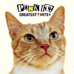 GREAT PUNK HITS [廃盤]／オムニバス｜原価マーケット
