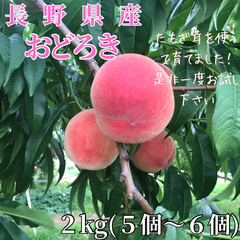 おどろき 桃 長野県産 新品種 たもぎ茸 2kg 中サイズ