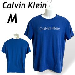 Calvin Klein カルバンクライン コストコ別注  メンズ  Tシャツ M 半袖カットソー ロゴプリント RN# 36543 CA# 50900 ブルー系 (F018)★