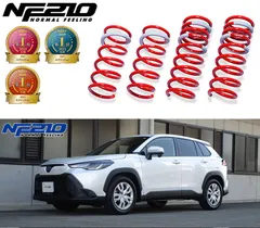 tanabe 赤 プロボックスダウンサススプリングセット 保証書付き 新品未使用