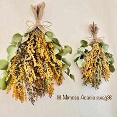 ポット付♡】ユーカリ銀世界 かすみ草 ドライフラワー