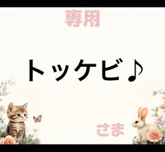 専用