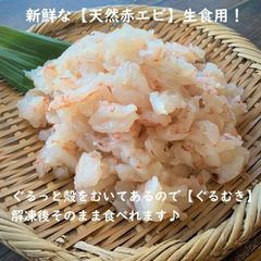寿司 赤海老 お造り赤エビむき身 剥き身 500ｇ 刺身用 生食用 あかえび アカエビ サラダ 海鮮丼 端材 手巻き寿司 ブロークン