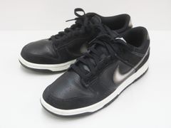 NIKE ナイキ FD6923-001 DUNK LOW RETRO NAS Airbrush Swoosh スニーカー　27㎝