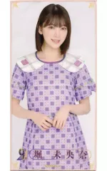 【中古】雑貨 堀未央奈 個別ハンドタオル 「乃木坂46 9th YEAR BIRTHDAY LIVE」 期別ライブグッズ